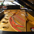 1983 Steinway D concert grand - Grand Pianos